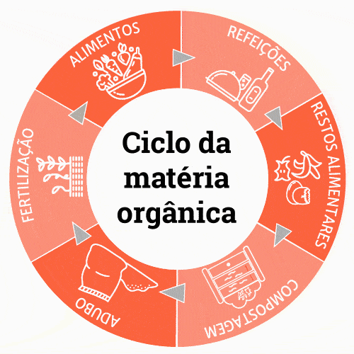 Ciclo Matéria Orgânica
